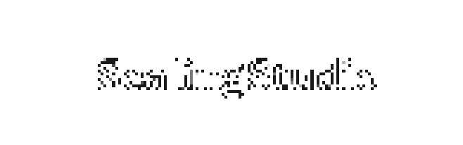 ScalingStudio logo